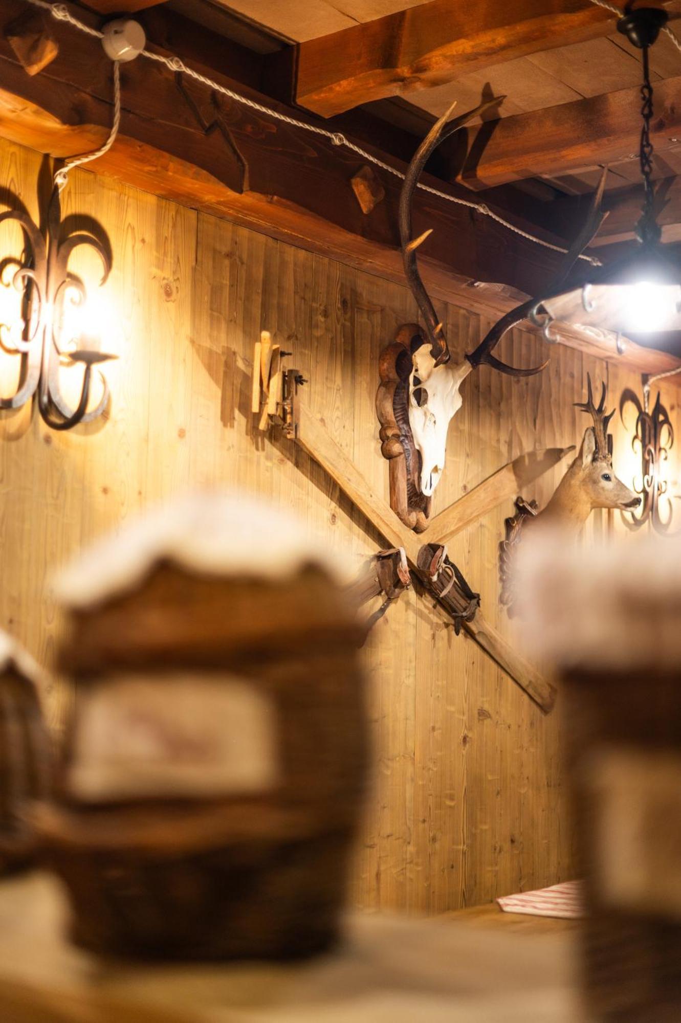Alfio'S Alpen Suite Roncone Dış mekan fotoğraf